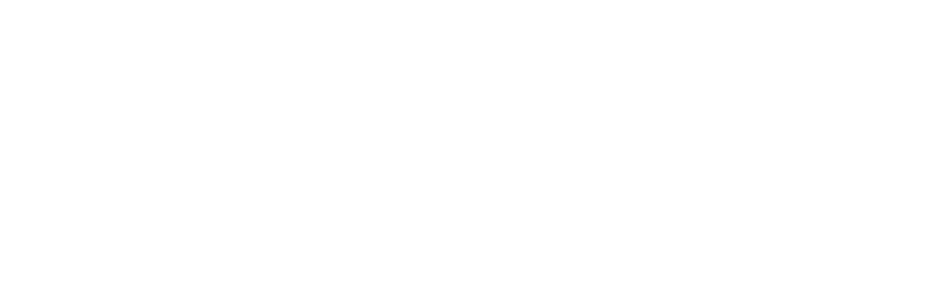 Kimerus Intelligence